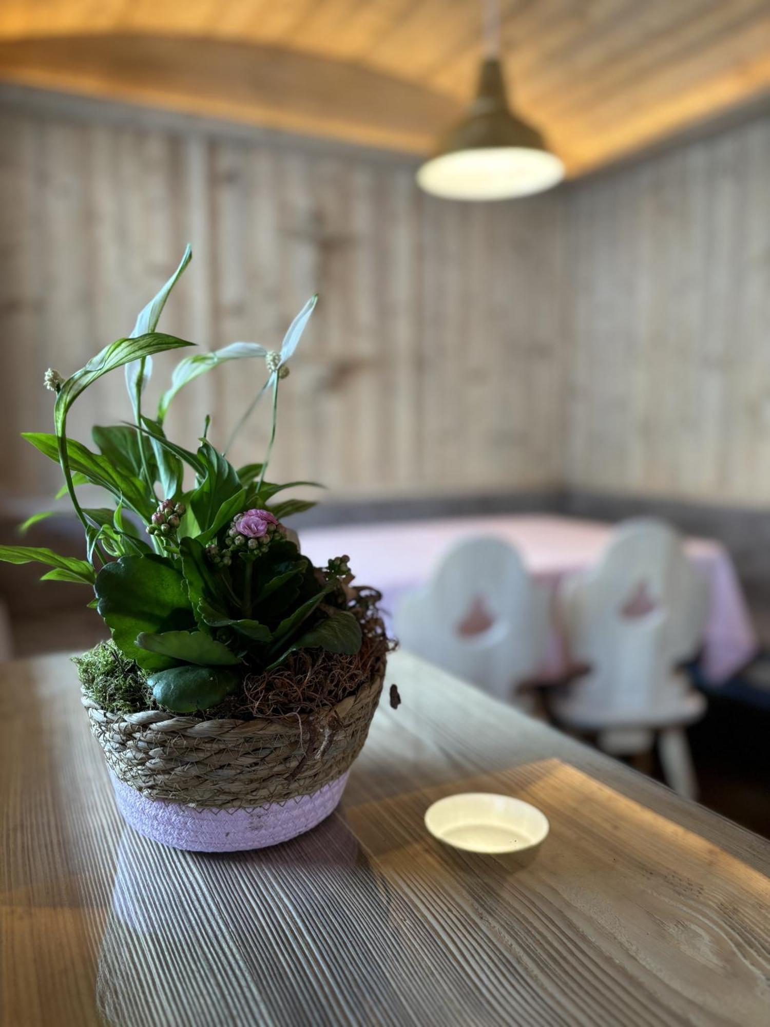 Appartement Rosa Sankt Johann in Tirol Pokój zdjęcie