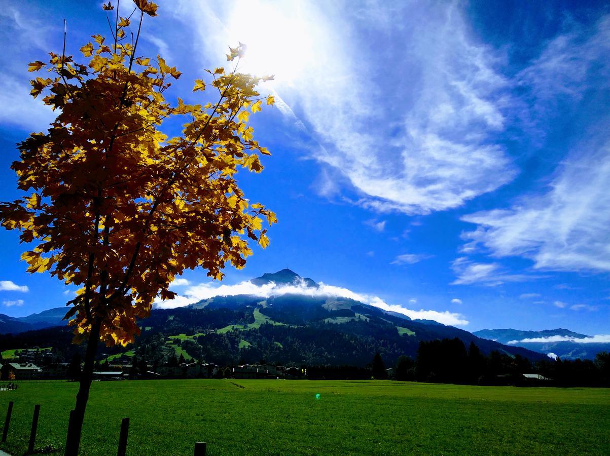 Appartement Rosa Sankt Johann in Tirol Zewnętrze zdjęcie